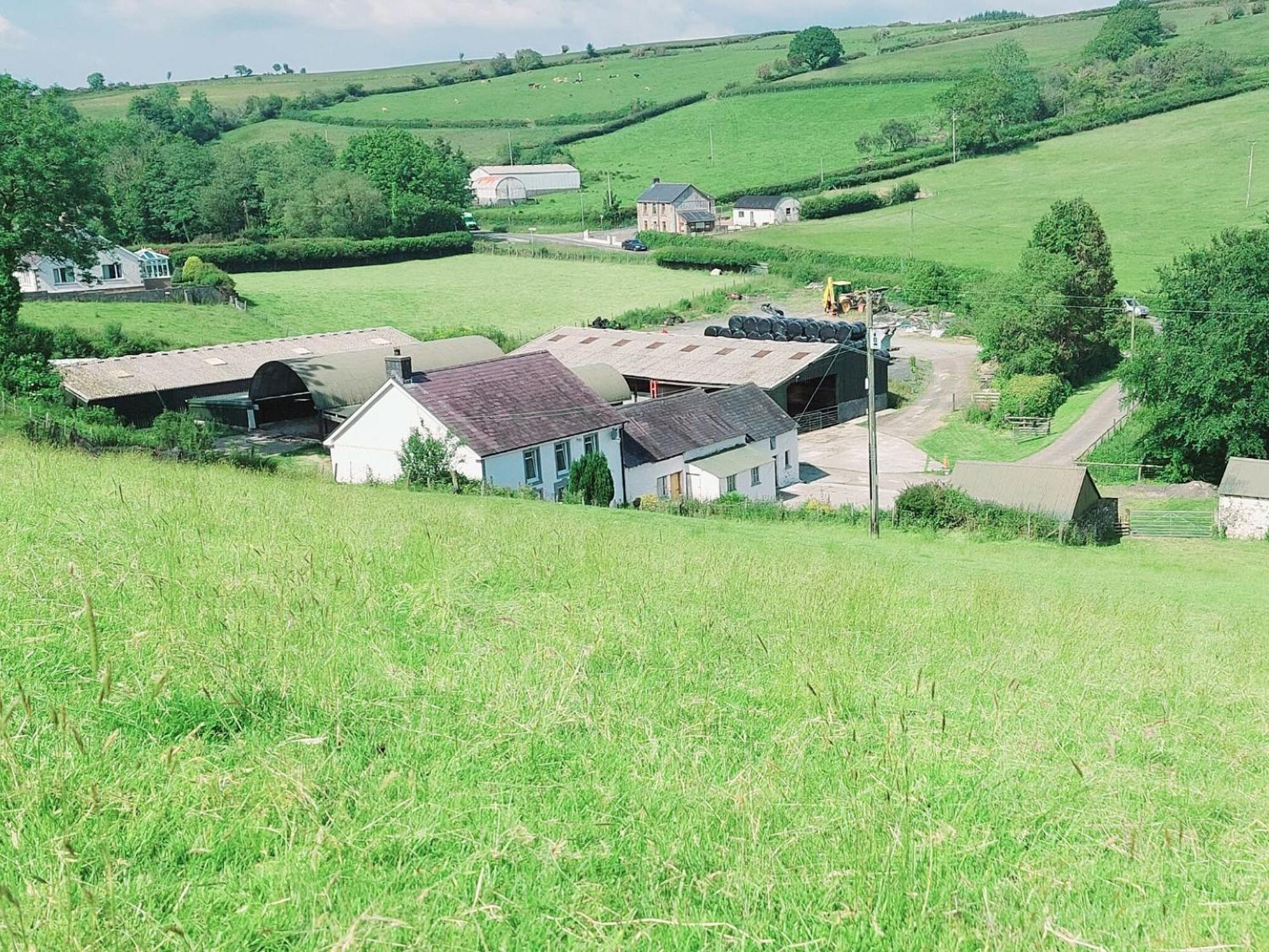 Typicca Farmhouse Brechfa エクステリア 写真